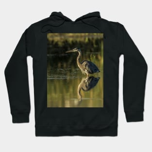 Blue Heron Hoodie